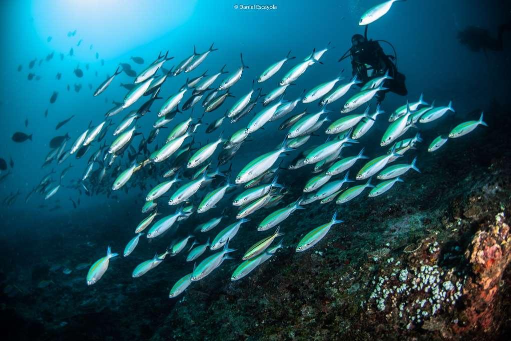 فندق Kisawa Sanctuary فيلانكولوس المرافق الصورة
